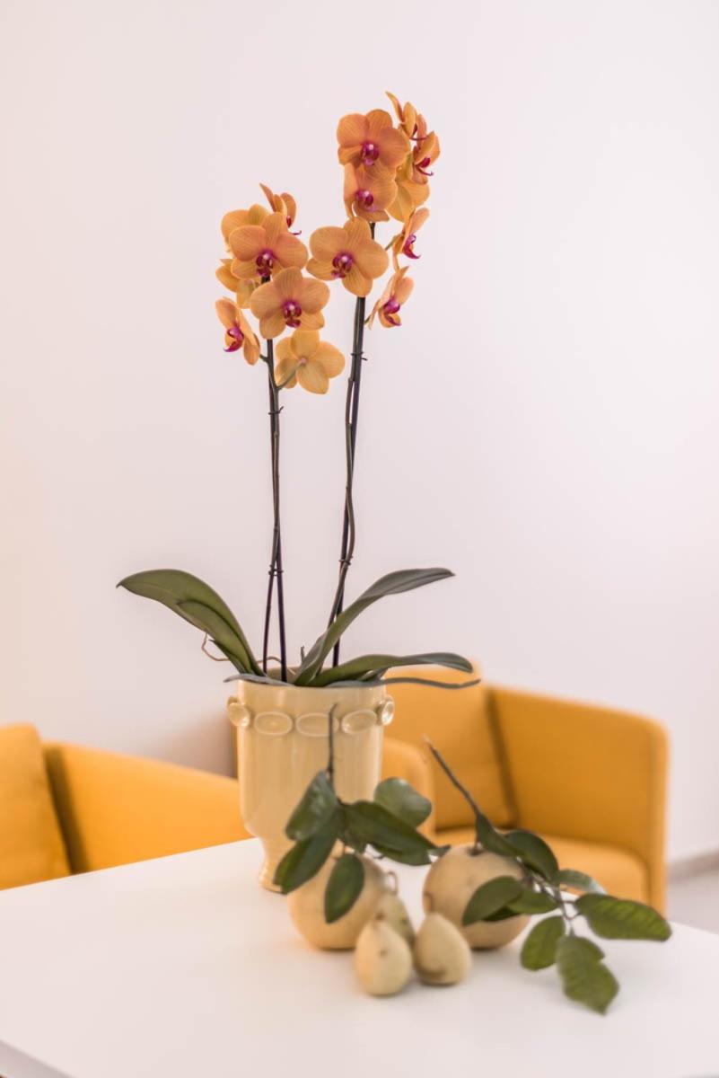 Apartament Le Residenze Di Don Nino Lecce Zewnętrze zdjęcie